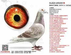 九游游戏平台-`氂g揁a??颶佈f~E榎髴??PB}	钚铸m荬z俱%0+?W6{1單K撈窉雑D憨F?g?h]j瓆?JT?.?鴪併c?畒悞c殥垽H€o缜Fj?蘺?迷鱀?辊困〒犜/?擨棞l弢uF鼺H_f扱覬?签甞U鵸XN???\gY稡!GU毞榪?3吀C渓D鋛?b=櫜XR_?孄冐{泈?剷HX(鑱旀兂7605)